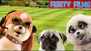 Who Let the Dogs Out A Feisty Pets Compilation [upl. by Derag]