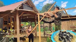 building wooden houses and wooden trellises for flower trellises  life on the family farm [upl. by Nas]