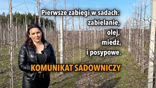 Pierwsze zabiegi w sadach zabielanie olej miedź i posypowe  komunikat sadowniczy [upl. by Iarahs]