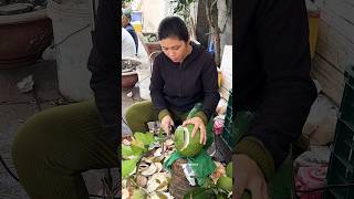 Vietnamese Woman Selling Tropical Fruit Pomelos  Fruit Cutting Skills [upl. by Johm]