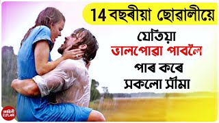 The Crush 1993  Hollywood thriller movie explain and review in Assamese [upl. by Hsirap97]