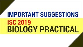 ISC 2019 Biology Practical Important Suggestions HindiUrdu [upl. by Cleland]