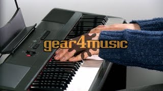 SDP2 Stage Piano by Gear4music [upl. by Ayekin]