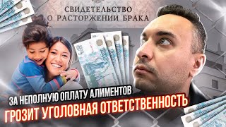 За неполную оплату алиментов  НАКАЖУТ [upl. by Hgielah]