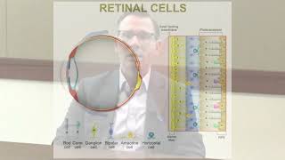 Positive Results from Randomized Controlled Trials of MCO10 Gene Therapy for RP amp Stargardt [upl. by Netsriik]