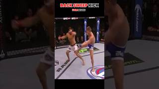 Back sweep kick martialarts mma ufc [upl. by Harty]