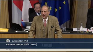 Johannes Hübner  Waffen für den Frieden Corona EUArbeitsprogramm 2023  1442023 [upl. by Atirihs]