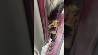 Chevy impala door creaking sound when opening and closing chevy chevyimpala [upl. by Nnayllek]