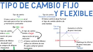 Tipo de cambio fijo y flexible  Cap 16  Macroeconomía [upl. by Mireielle]