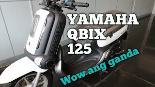 YAMAHA QBIX 125CC REVIEW RC MOTOR SPEED [upl. by Etireuqram895]