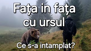 Boncanitul Cerbului Spectacolul naturii din Romania  Fata în fata cu ursul [upl. by Harmonia]