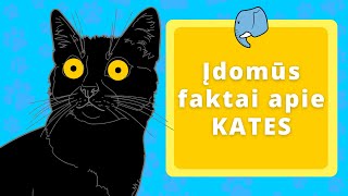 Įdomūs faktai apie kates 🐱  Edukaciniai filmukai vaikams🐘 [upl. by Vivica]