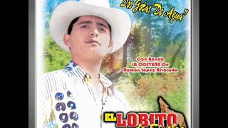 El Lobito De Sinaloa  Te Enseñe A Besar [upl. by Leede]