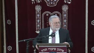 Is Common Sense Kosher  Rabbi Mordechai Becher Shlita [upl. by Llerdnod617]