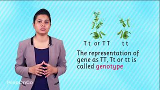 Heredity and Evolution  Understanding Basic Terminology  Mendels experiment [upl. by Ihpen624]