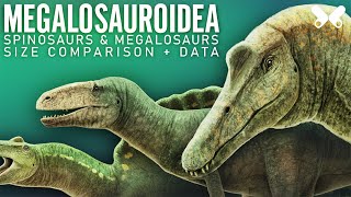 SPINOSAURS and other MEGALOSAUROIDS  Dinosaurs size comparison and data [upl. by Belen]