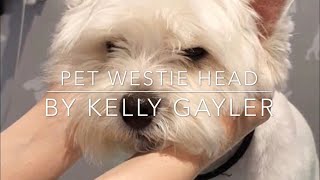 Pet Westie Head Grooming Tutorial [upl. by Lavena11]