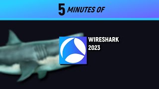 How To Use WIRESHARK in 2024 [upl. by Mckinney]