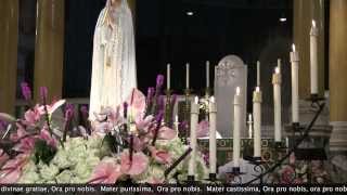 Sung quotLitany of Our Lady Latinquot led by FSI Westminster Cathedral A Day With Mary [upl. by Tiffa30]