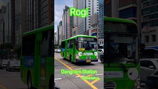 Rogi 💚 Seoul 🇰🇷 강남역 로기 ￼￼ 서초03 마을버스 [upl. by Zsolway177]