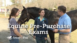 Equine PrePurchase Exams [upl. by Esdnil]