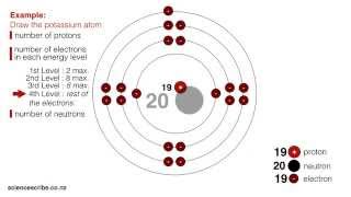 Drawing Atoms NCEA L1 amp Junior Science [upl. by Tymothy]