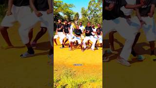 Chris Brown  Sensational Official Dance Video ft Davido Lojay [upl. by Derwin]