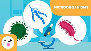 What are microorganisms Bacteria Viruses and Fungi [upl. by Philipp]