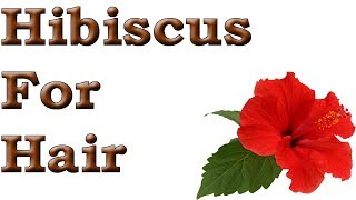 Hibiscus For Hair  DIY Hibiscus Oil Preparation For Fast Hair Growth [upl. by Rimaj399]