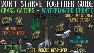 Dont Starve Together Guide Grass Gators  DAILY LEAFY MEATTWIG FARMS  Waterlogged Update BETA [upl. by Serafina]