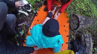 Dramatic Rescue Coast Guard Saves Injured Hiker and Dog [upl. by Claudia115]