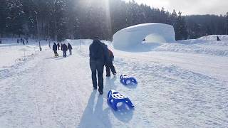 Tor saneczkowy Snowlandia Zakopane  ForumWiedzy [upl. by Chester307]