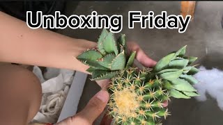 New Agaves and Short Spine Barrel Unboxing [upl. by Zitvaa218]