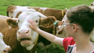 Biohof der Familie Übelacker von den Biohennen [upl. by Tonie]