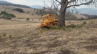 FiatAllis 14B pushing a dead tree [upl. by Elmo]