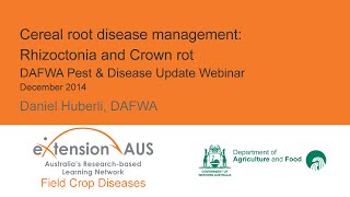 Cereal root disease management Rhizoctonia and crown rot  DAFWA Pest and Disease Update [upl. by Staford]