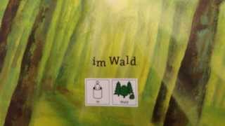 Buchadaption „Allein im Waldquot mit METACOM Symbolen und MetaTalkDE Vokabular [upl. by Adama]