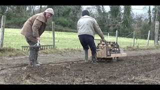 Planting Lots Of Garlic Using a mechanical dibber two railways and a horse [upl. by Artinahs689]