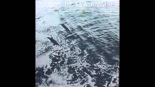 sounds of sea animals part 2 porpoise sounds [upl. by Anaeco]