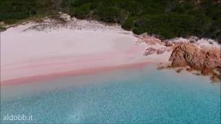 spiaggia rosa pink beach  budelli arcipelago di la maddalena sardinia Italy [upl. by Erdnua]