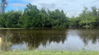 Fellsmere residents angry about drainage issues [upl. by Ahsiekrats]