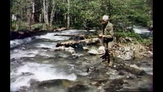 Histoires Naturelles  Ou sont nos poissons dantan [upl. by Enela]