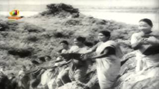 O Rama Nee Naamam Video Song  Bhakta Ramadasu Telugu Movie  ANR  NTR  Anjali Devi [upl. by Circosta]