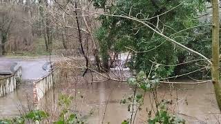 flooded Brook in Gleadless Valley Sheffield [upl. by Kepner]