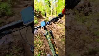 Tobis Trail 1 Miltenberg Like and Subscribe I Love This Trail insta360 miltenberg emtb [upl. by Norrek]