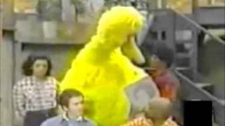 Big Bird learns about death [upl. by Sothena]