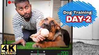 Dog Training  Day 2  How to train a German shepherd Dog  basic tips Hindi [upl. by Grassi760]