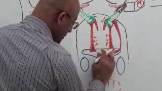 Middle Ear  Gross Anatomy  Part 79 [upl. by Ravi]