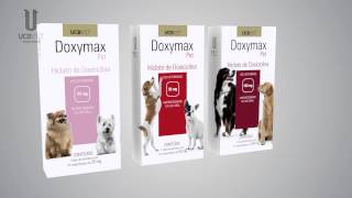 Doxymax Pet Não há erliquiose que resista [upl. by Nylear272]