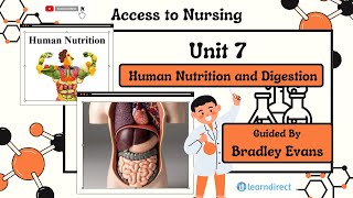 UNIT 7  Human Digestion amp Nutrition [upl. by Acirtap]